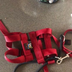 Cesar Millan dog lead